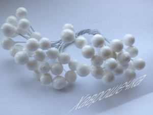 Калина глянцева БІЛА